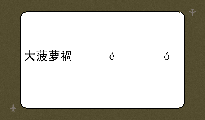大菠萝福建app导入