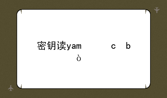 密钥读yao还是yue？