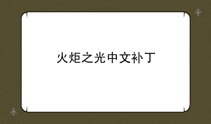 火炬之光中文补丁
