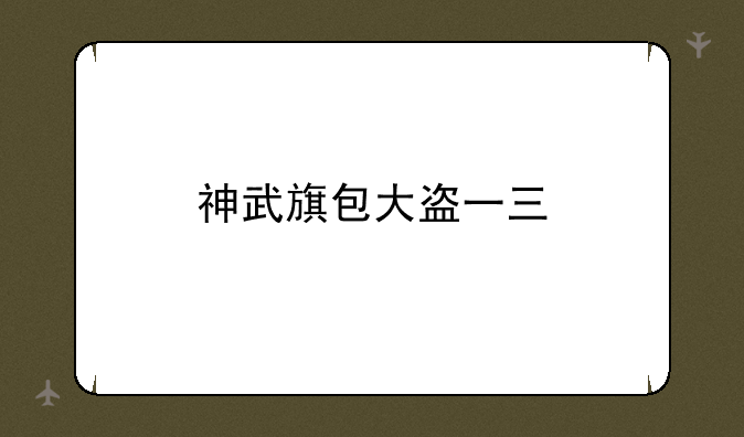 神武旗包大盗一三