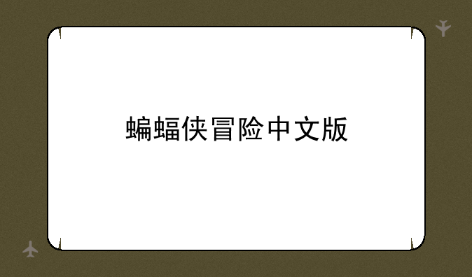 蝙蝠侠冒险中文版