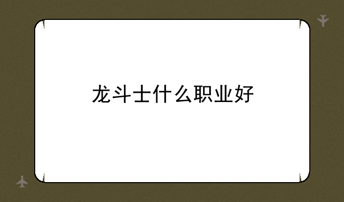 龙斗士什么职业好