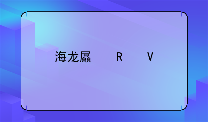 海龙屯攻略