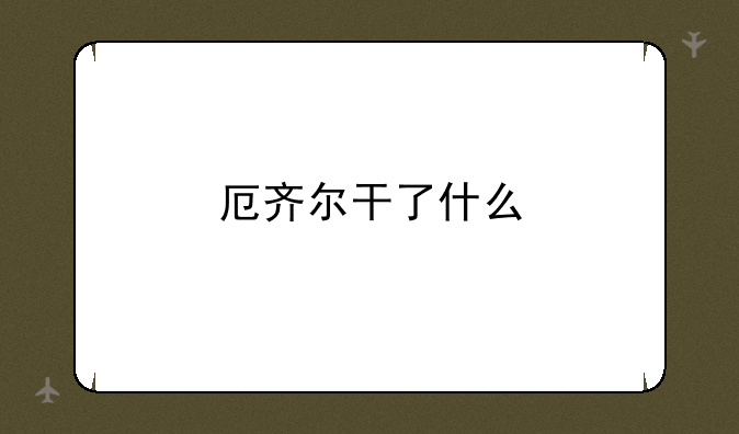 厄齐尔干了什么