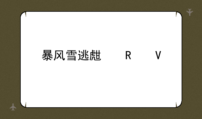 暴风雪逃生攻略