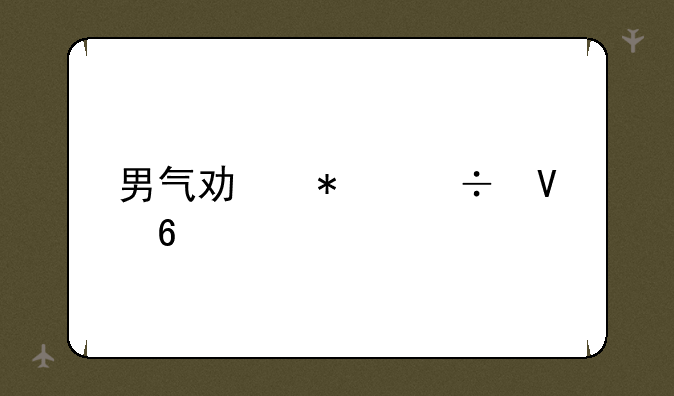 男气功技能数据