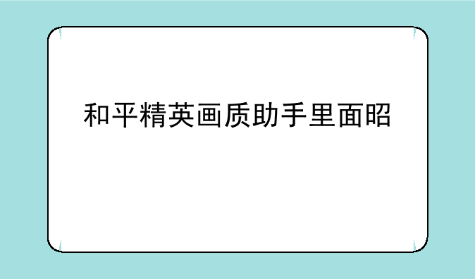和平精英画质助手里面是什么
