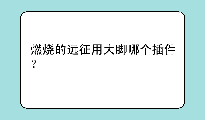 燃烧的远征用大脚哪个插件？