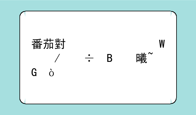番茄小说如何下载听书音频？