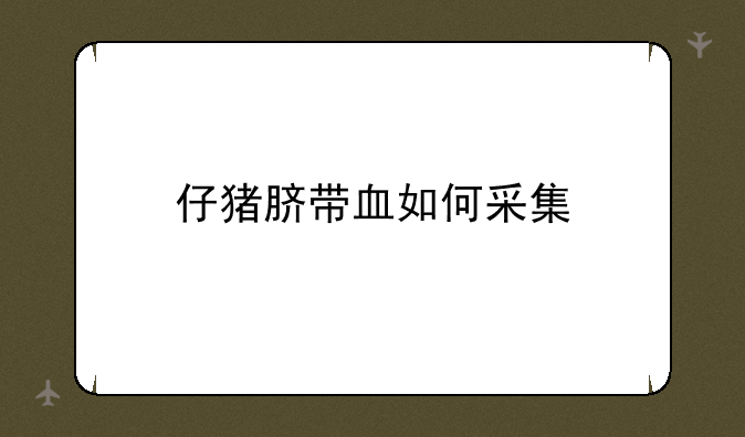 仔猪脐带血如何采集
