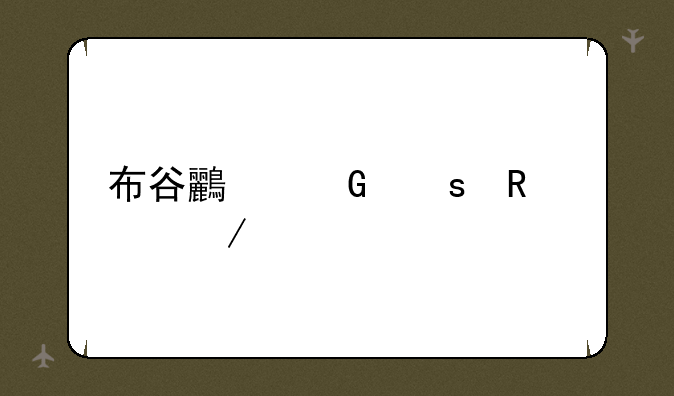 布谷鸟网络电视下载