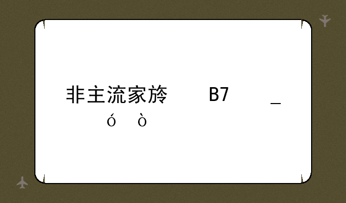 非主流家族名字格式