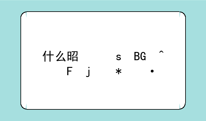 什么是“向日葵的花语”