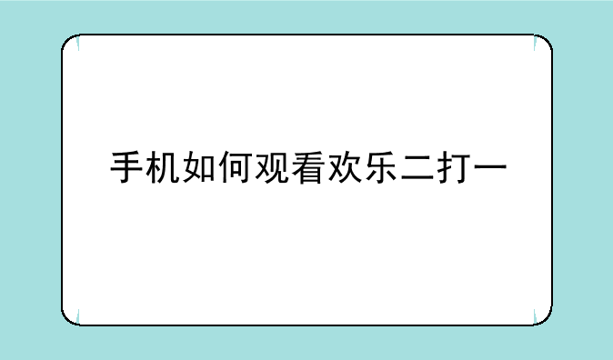 手机如何观看欢乐二打一