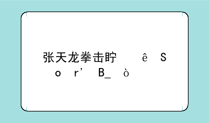 张天龙拳击真人比赛有吗？