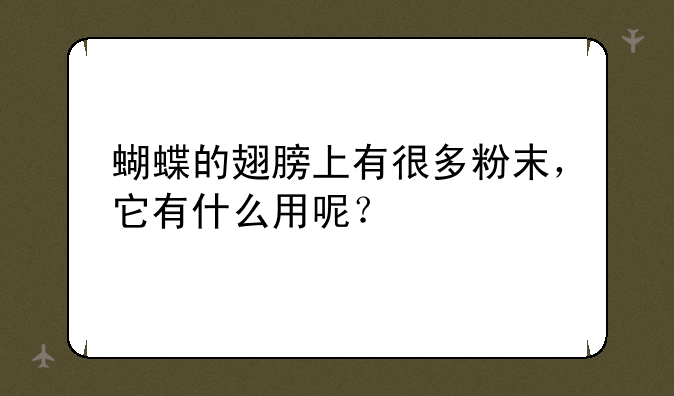 蝴蝶的翅膀上有很多粉末，它有什么用呢？