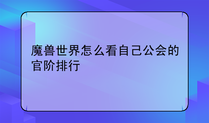 魔兽世界怎么看自己公会的官阶排行