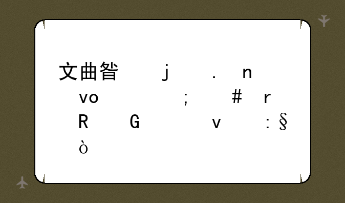 文曲星的英雄坛说怎么在电脑上面玩？