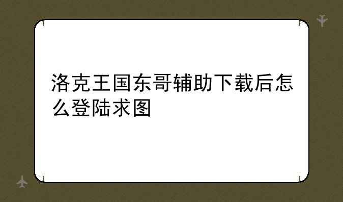 洛克王国东哥辅助下载后怎么登陆求图