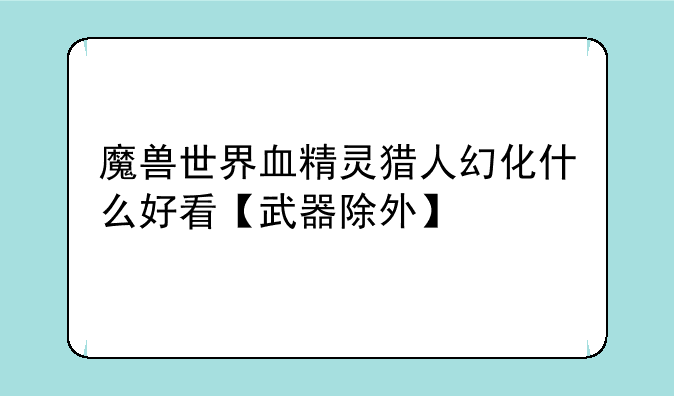 魔兽世界血精灵猎人幻化什么好看【武器除外】