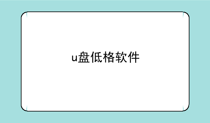 u盘低格软件