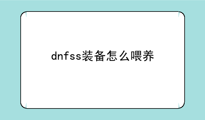 dnfss装备怎么喂养