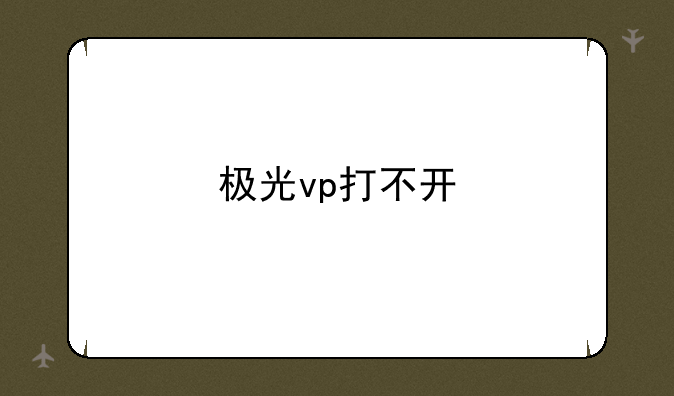 极光vp打不开
