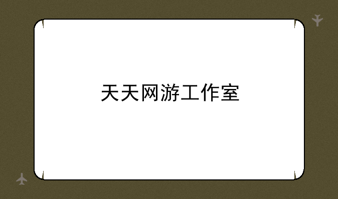 天天网游工作室