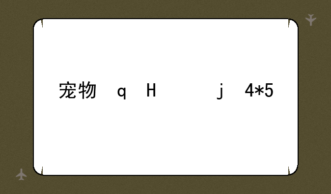 宠物连连看2.5版