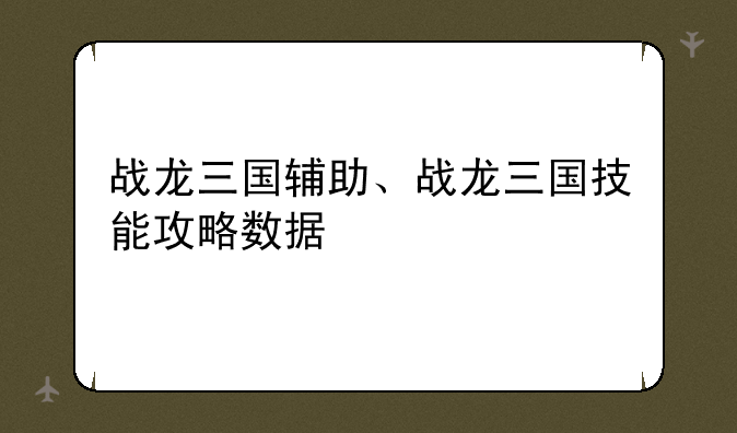 战龙三国辅助、战龙三国技能攻略数据