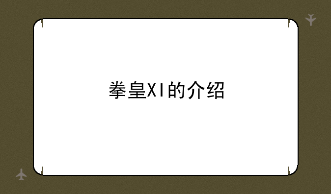 拳皇XI的介绍