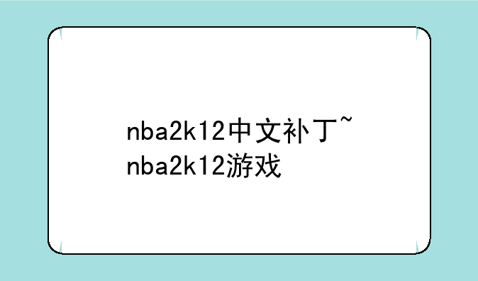 nba2k12中文补丁~nba2k12游戏